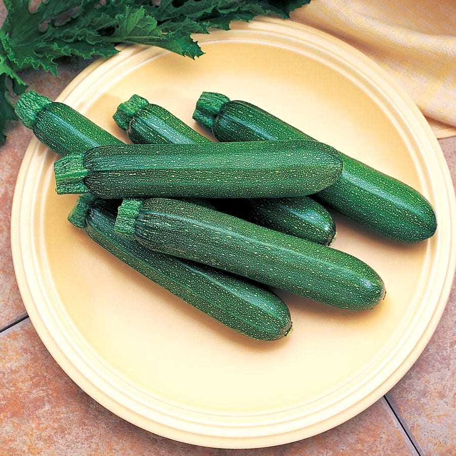 Cashflow Hybrid Squash Seeds