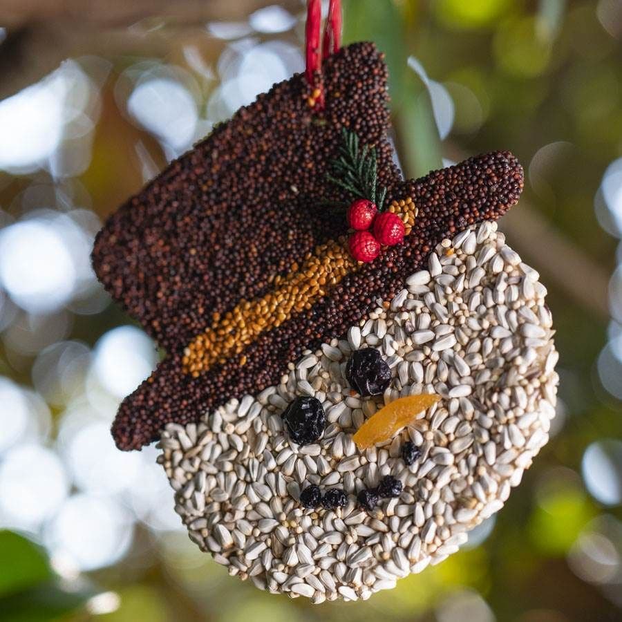 Frosty Cookie Bird Seed Treat