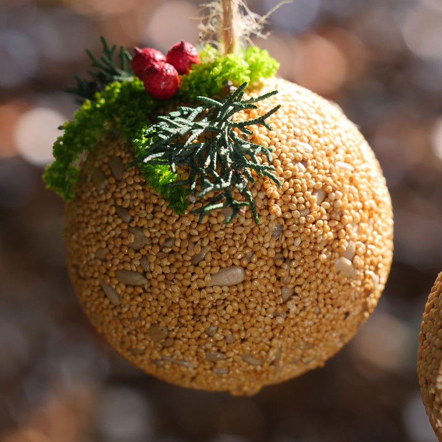 Fruit Ball Bird Seed Gift Set