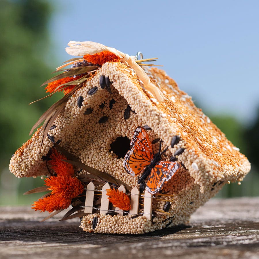 Wren Bird Seed Casita + Butterfly