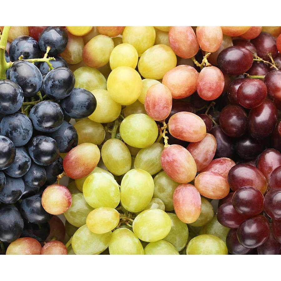 Vitis Grape Trio
