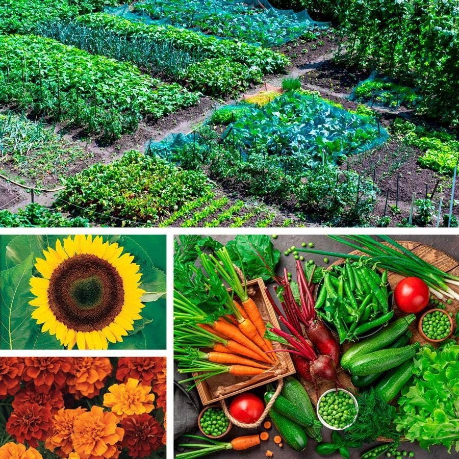 Park Seed Ultimate Garden Seed Collection