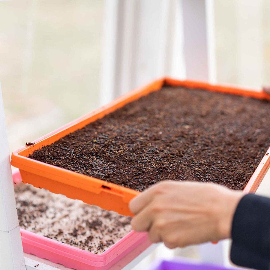 Bootstrap Farmer Microgreen Drainage Trays (Perforated, Multicolor)
