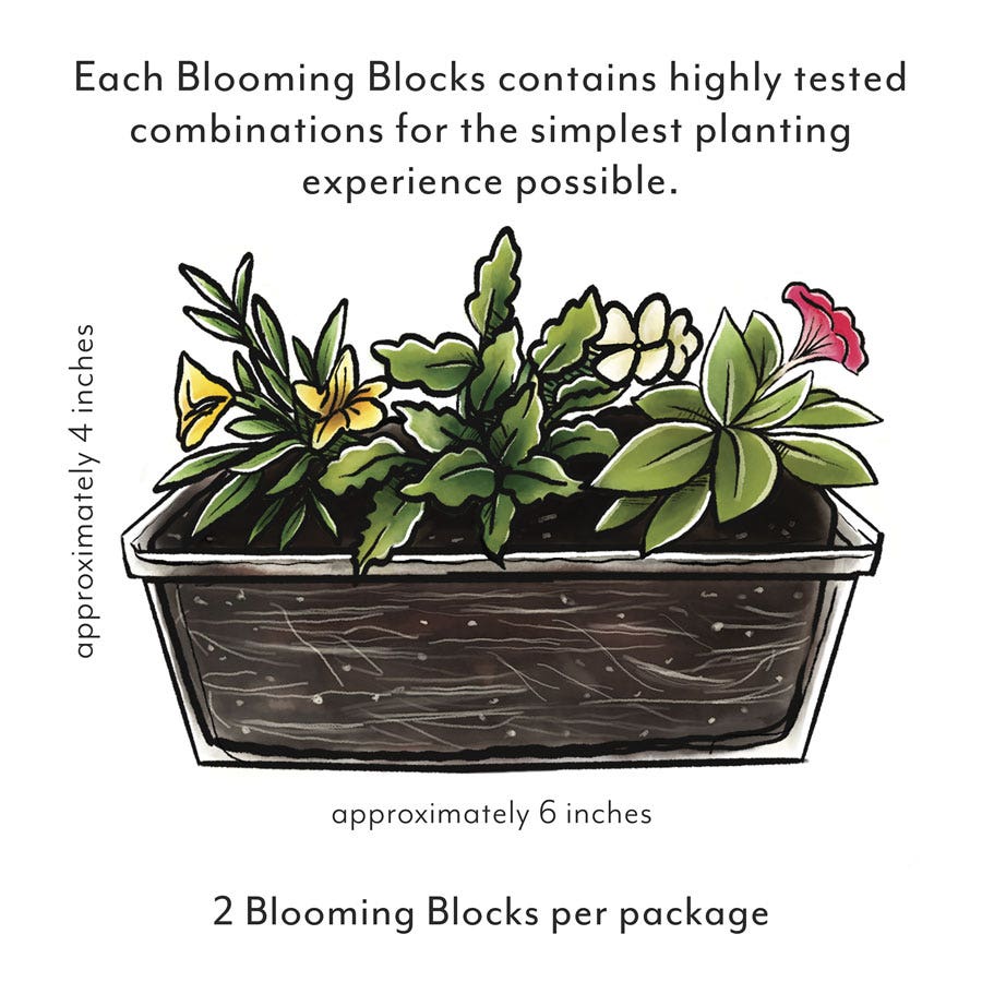 Blooming Block Premium Nouveau Rouge Quartet
