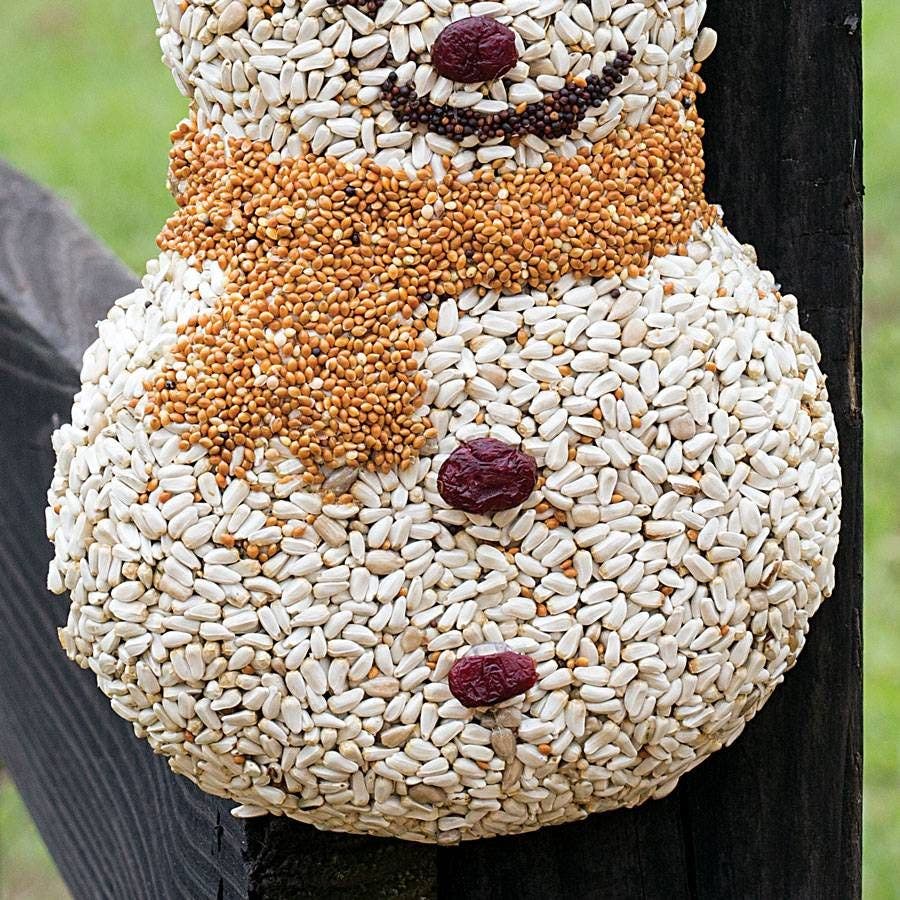 Frosty the Seedman Bird Seed Treat