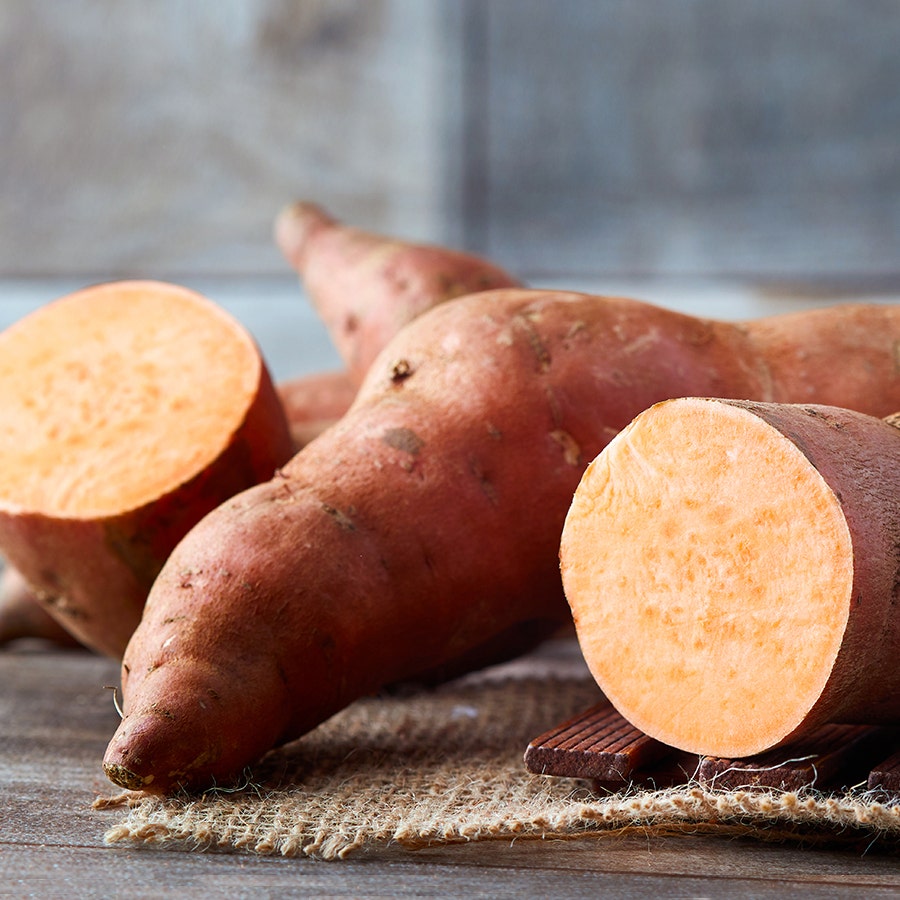 Georgia Jets Sweet Potato Slips