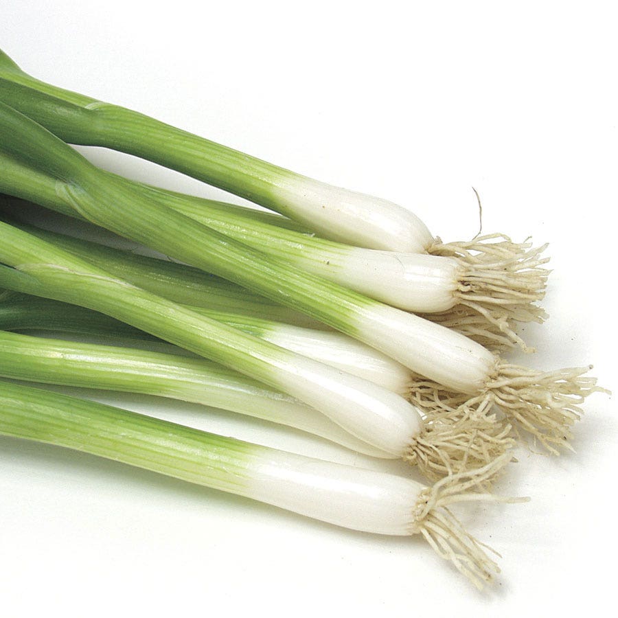 Damast Bunching Onion Seed Tape