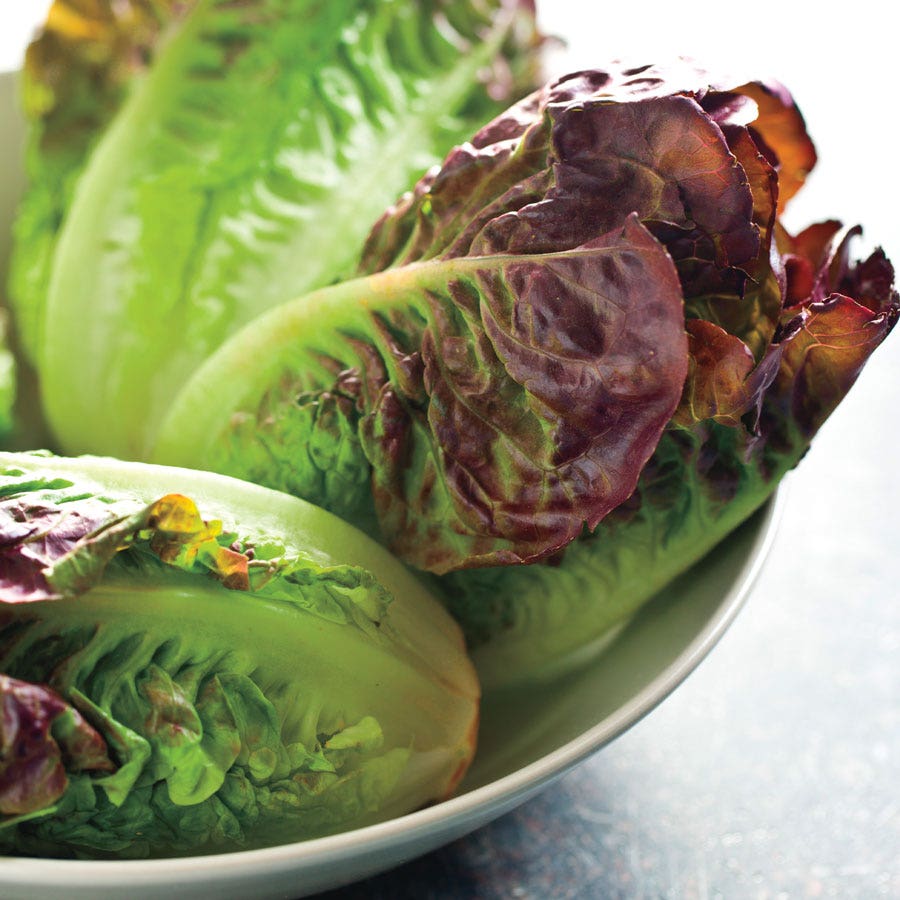 Mini Romaine Blend Lettuce Seeds