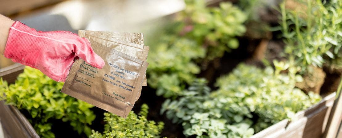 Seed packets and seed storage supplies for checking seed longevity before planting season