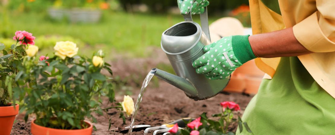 Gardening on Friday the 13th