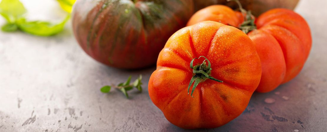 Top Heirloom Seeds to Grow