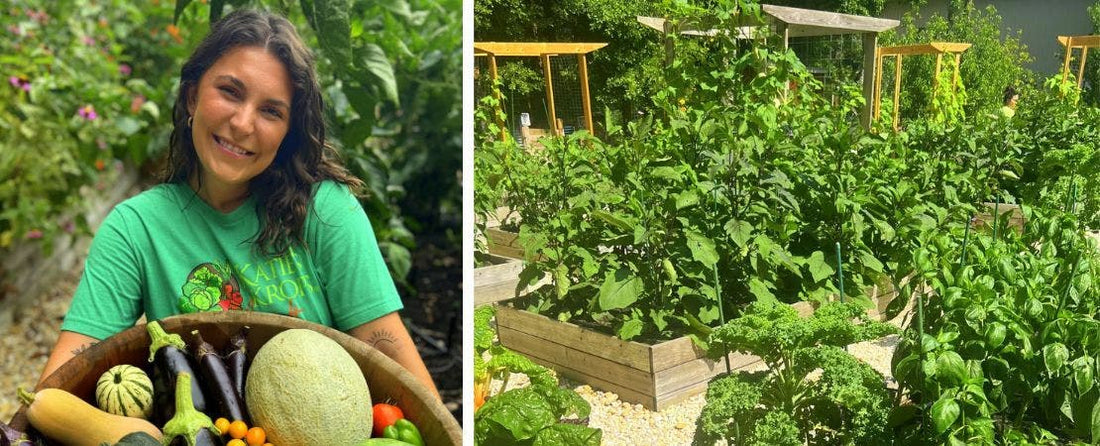 Starting a Giving Garden: Best Vegetables for Food Bank Donations
