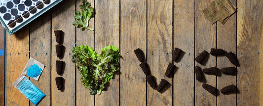 10 Reasons Park Seed Has Been America's Trusted Seed Source Since 1868