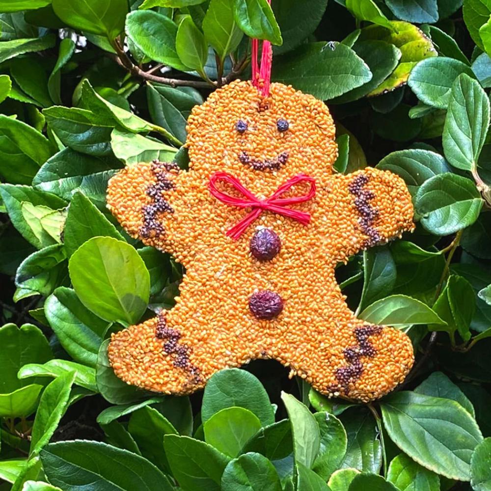 Gingerbread Cookie Bird Seed Treat