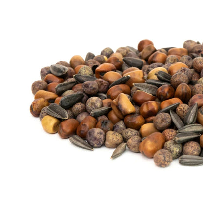 Microgreen Salad Mix Seeds