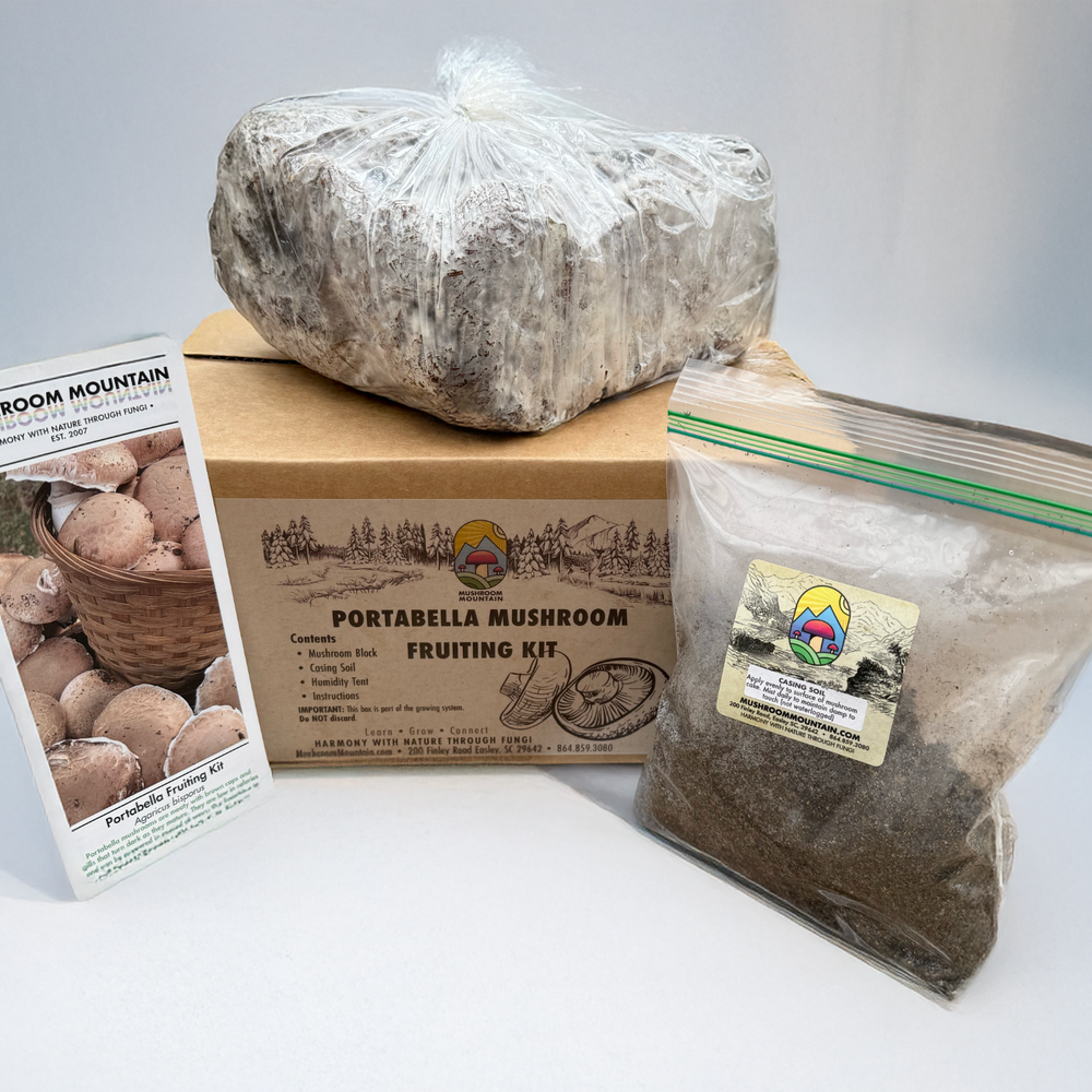 Mushroom Portabella Kit
