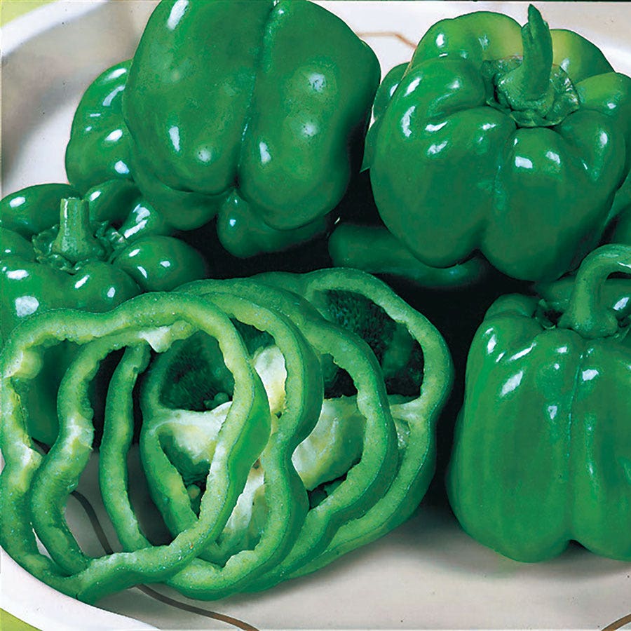 California Wonder Pepper Seeds
