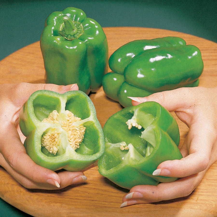 Big Bertha PS Hybrid Pepper Seeds