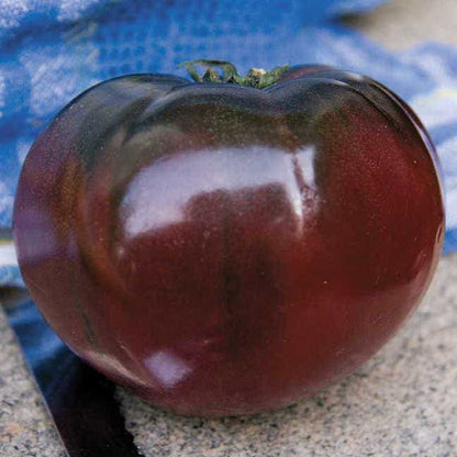 Tomato Cherokee Purple - Organic Seeds
