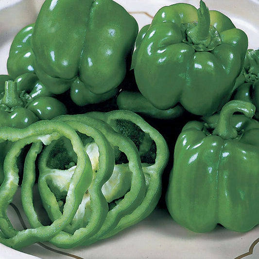 California Wonder Organic Pepper Seeds