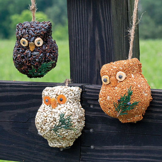 Ollie Owl Bird Seed Gift Set