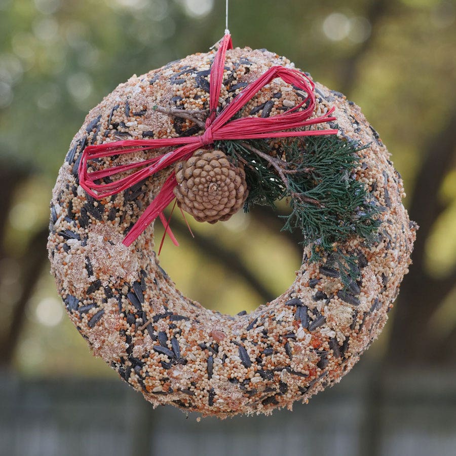 Wildfeast Bird Seed Wreath