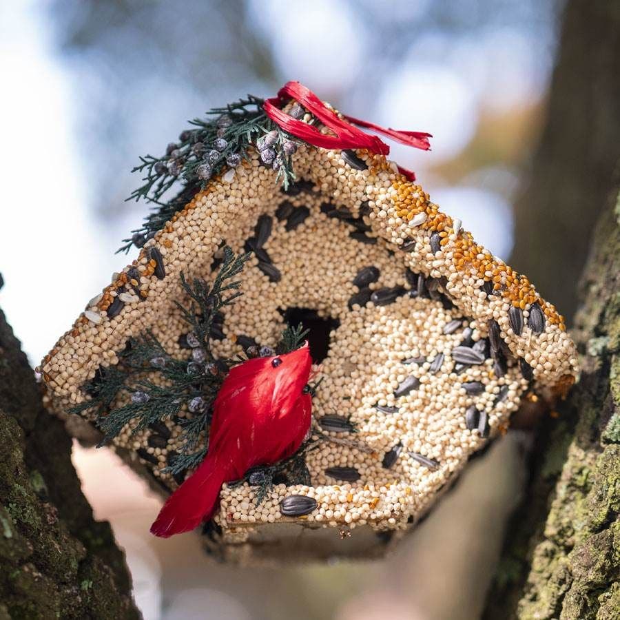 Wren Bird Seed Casita + Cardinal
