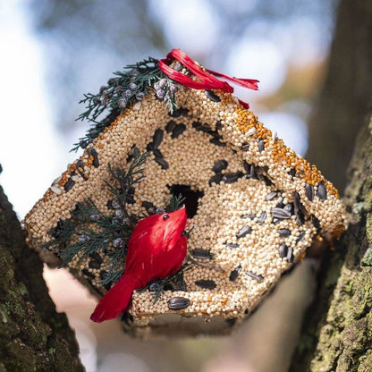 Wren Bird Seed Casita + Cardinal