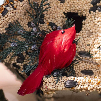 Wren Bird Seed Casita + Cardinal