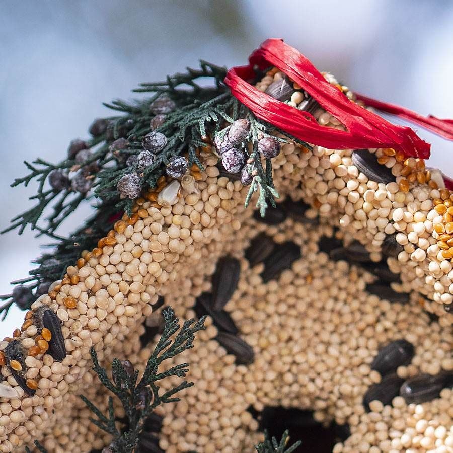 Wren Bird Seed Casita + Cardinal