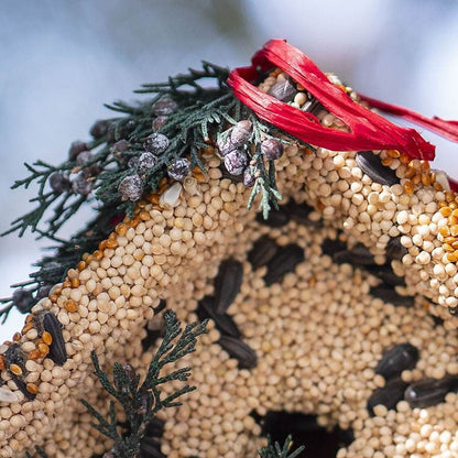 Wren Bird Seed Casita + Cardinal