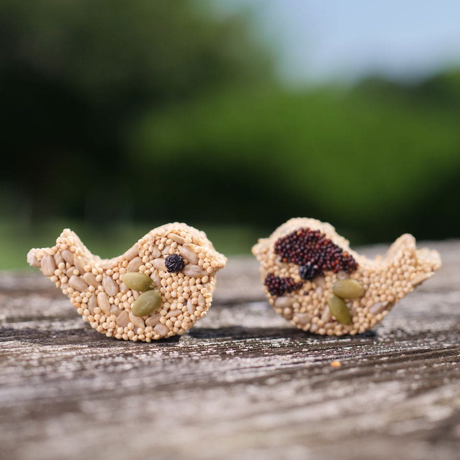 Home Tweet Home Bird Seed Gift Set