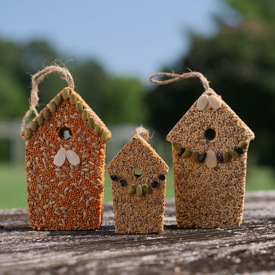 Home Tweet Home Bird Seed Gift Set