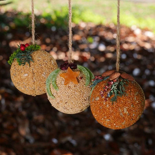 Fruit Ball Bird Seed Gift Set
