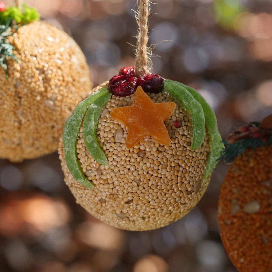 Fruit Ball Bird Seed Gift Set