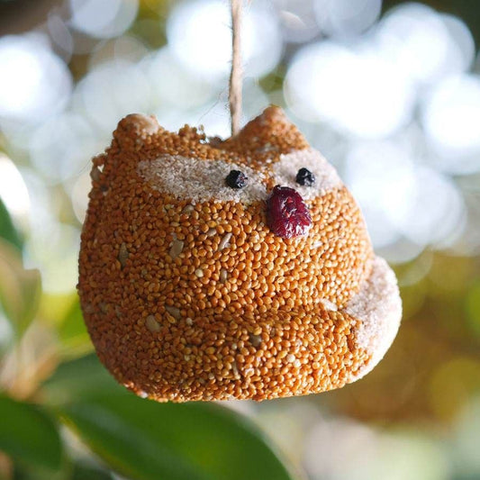 Woodland Fox Bird Seed Treat