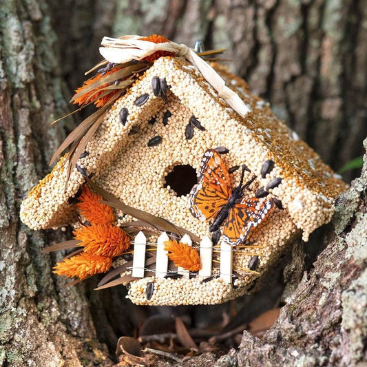 Wren Bird Seed Casita + Butterfly