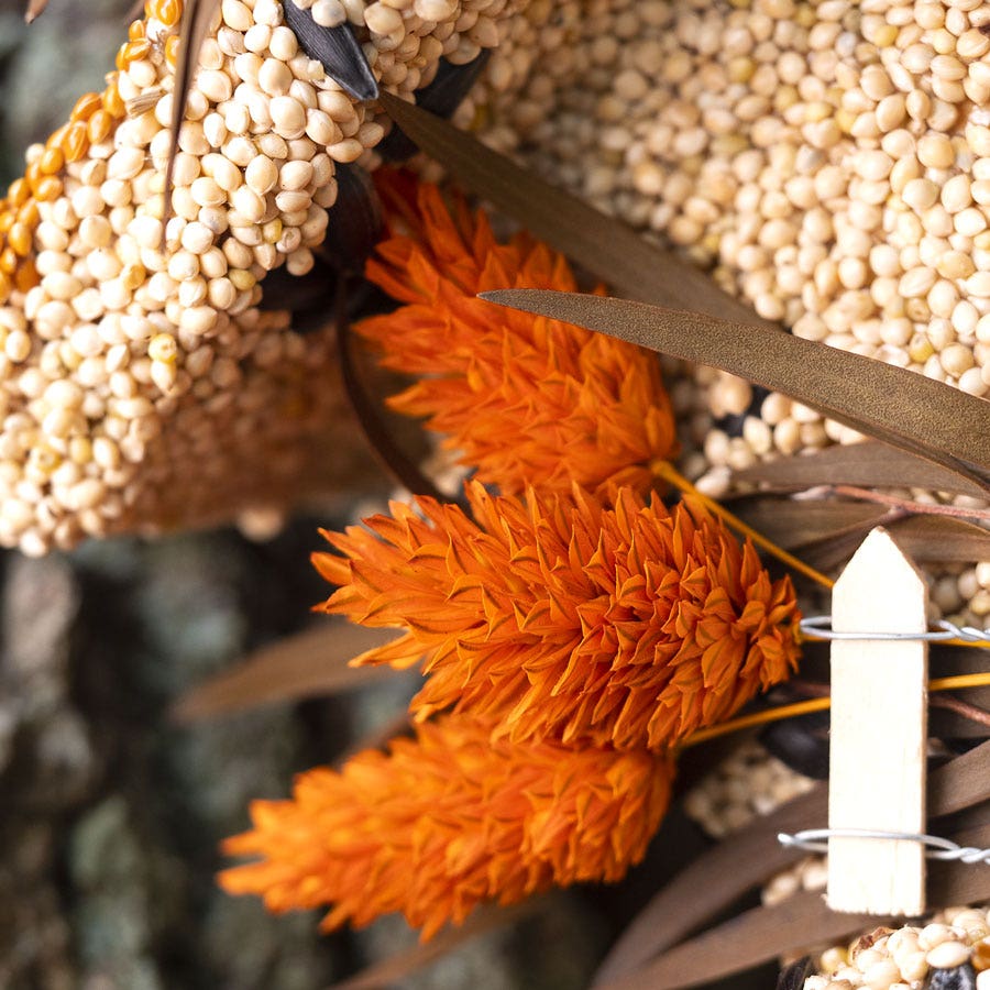 Wren Bird Seed Casita + Butterfly