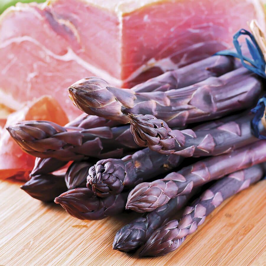 Asparagus 'Pacific Purple'