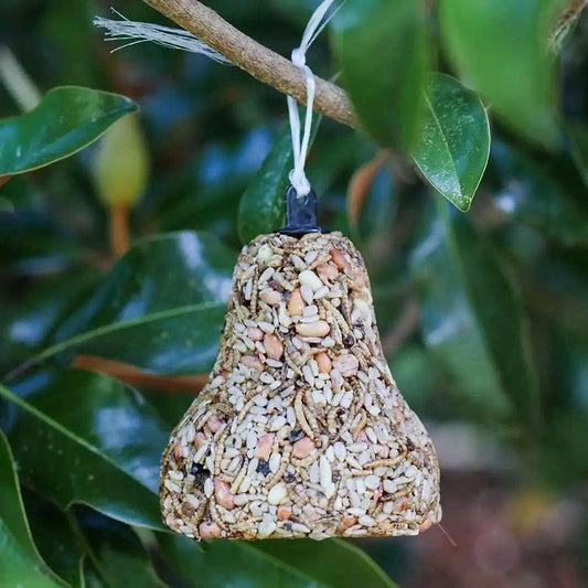 Bugs, Nuts & Fruit Bird Seed Bell
