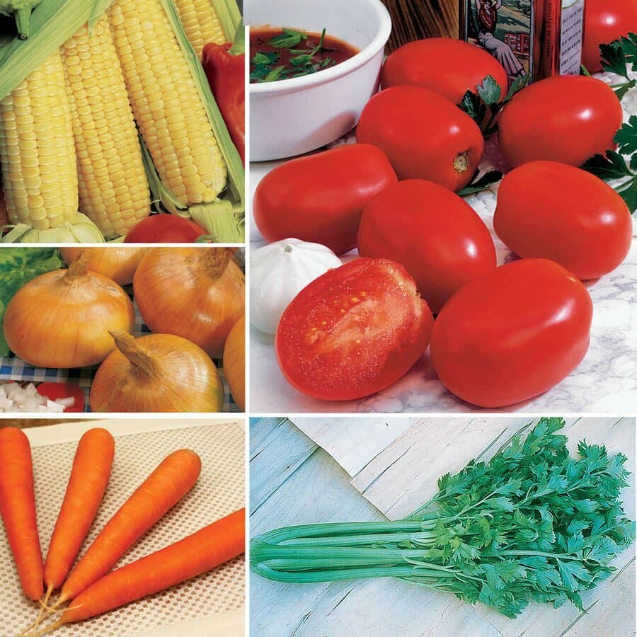 Ultimate Park Seed Vegetable Soup Seed Bundle
