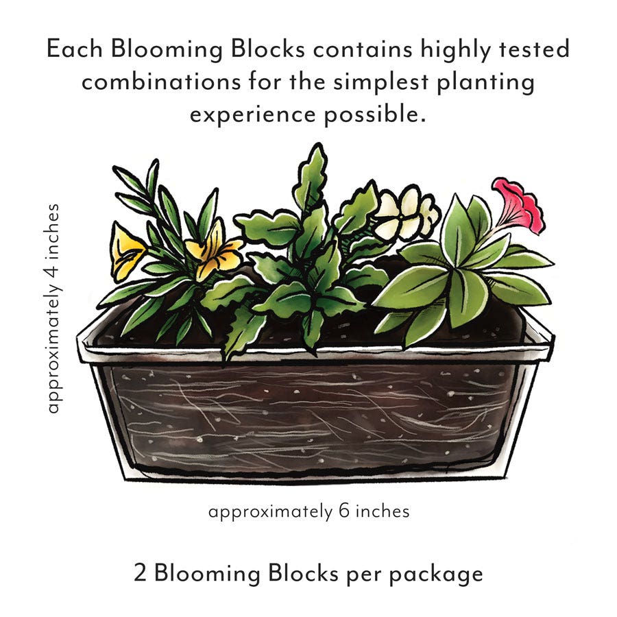 Blooming Block Kwik Kombos™ Cabrio™ Life is a Highway™ Standard Mix