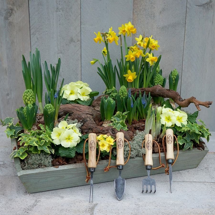 DeWit 4-Piece Bonsai Tool Set