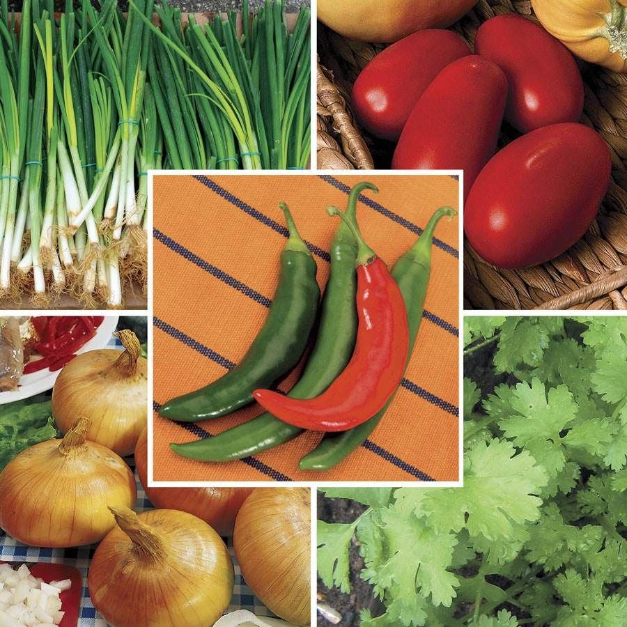 Park Seed Salsa Mix Seed Bundle