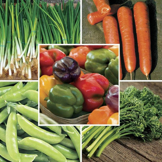 Park Seed Stir Fry Vegetable Seed Bundle