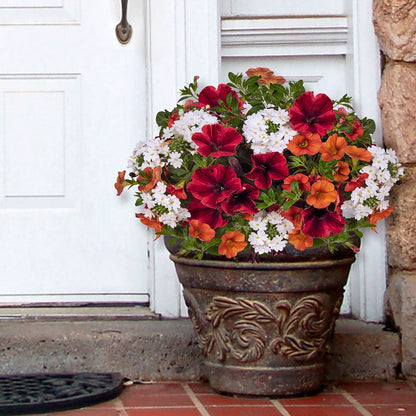 Blooming Block Confetti Garden® FireFlash Mix