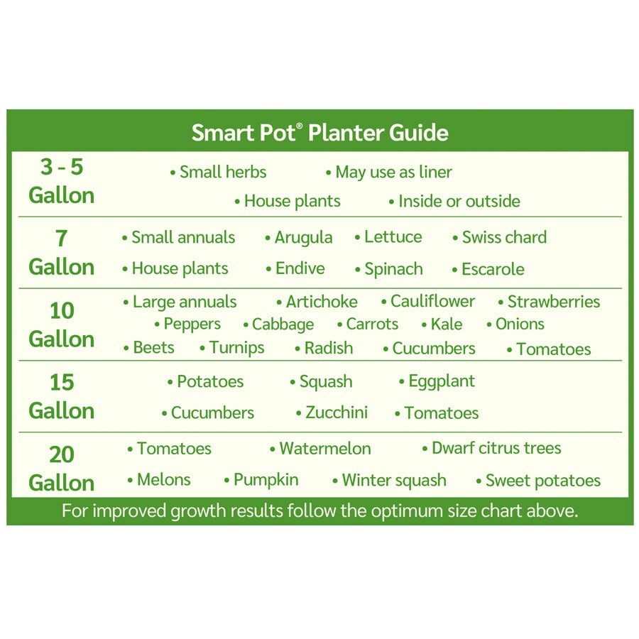 Smart Pot® Fabric Planter 1 Gallon Transplanter (Black) (3-Pack)