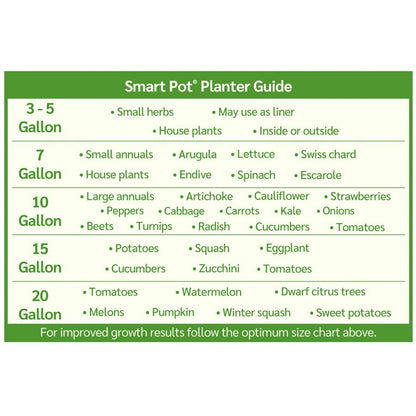 Smart Pot® w/Handles (Blue) 10-Gallon Fabric Planter