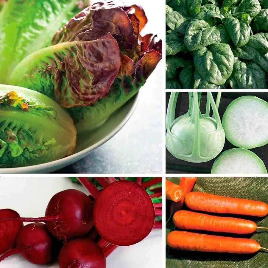 Park's Cool Season Vegetable Seed Bundle