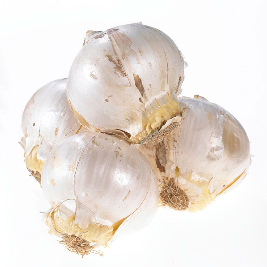 Allium Tumbleweed Ornamental Onion Bulbs